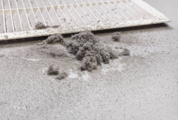 Best Duct Cleaning Specialists  in Nellieburg, MS