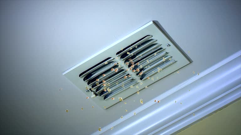 Best Air Duct Cleaning Company Near Me  in Nellieburg, MS