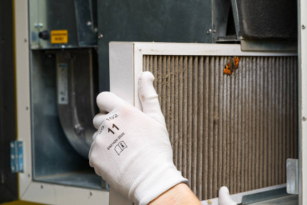 Best Ductwork Cleaning Services  in Nellieburg, MS