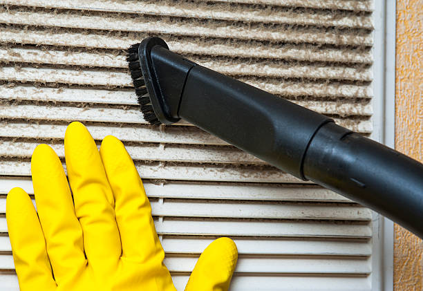 Best Professional Duct Cleaning Services  in Nellieburg, MS